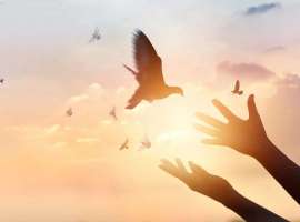 妈妈抗肺癌4年啦，我们的4点避“坑”笔记，希望能帮大家少走弯路