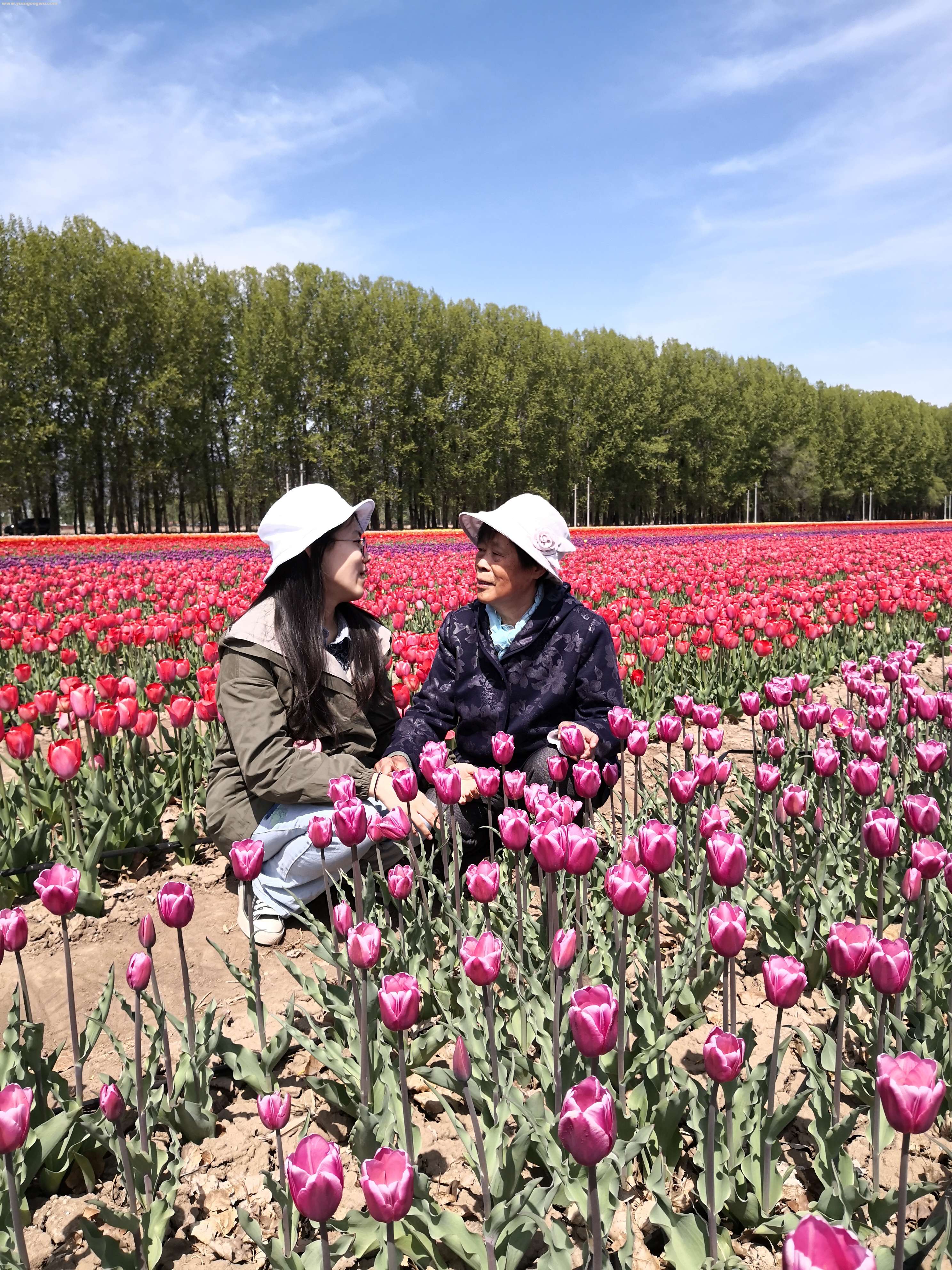 2020年5月，孙女逗奶奶开心