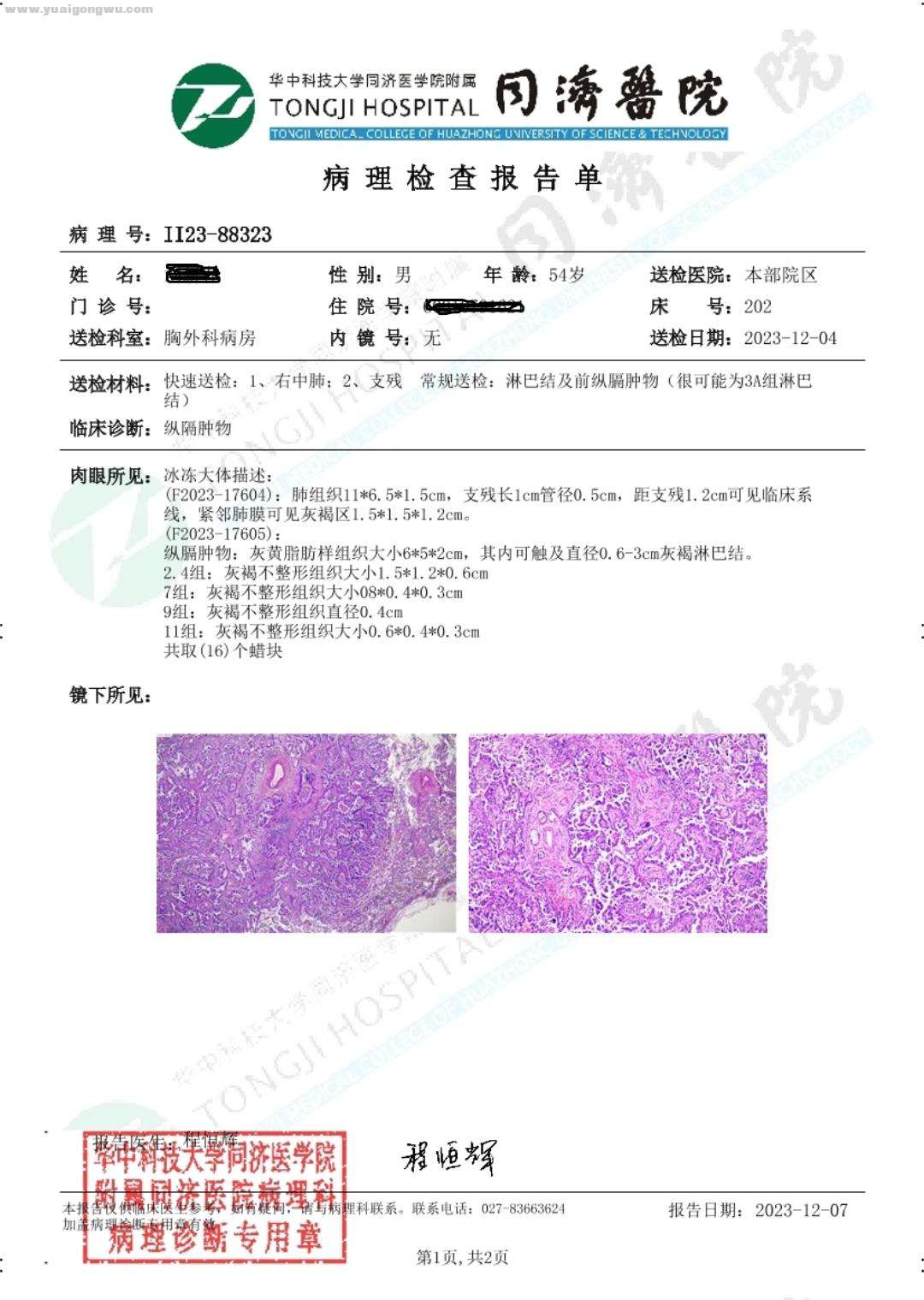 大病理2 (2).jpg