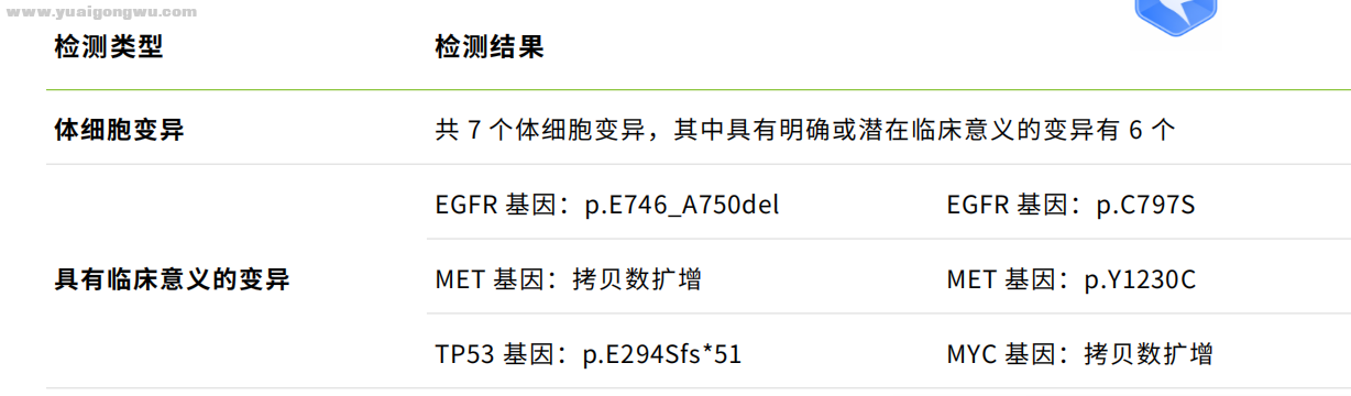 求助，奥西+280耐药，请大家帮忙看看基因检测报告